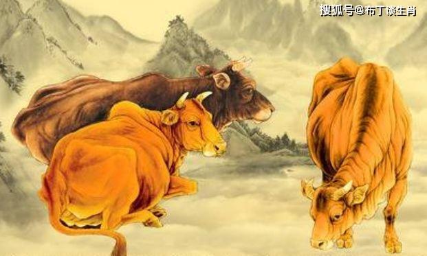 属牛的和什么生肖在一起最旺