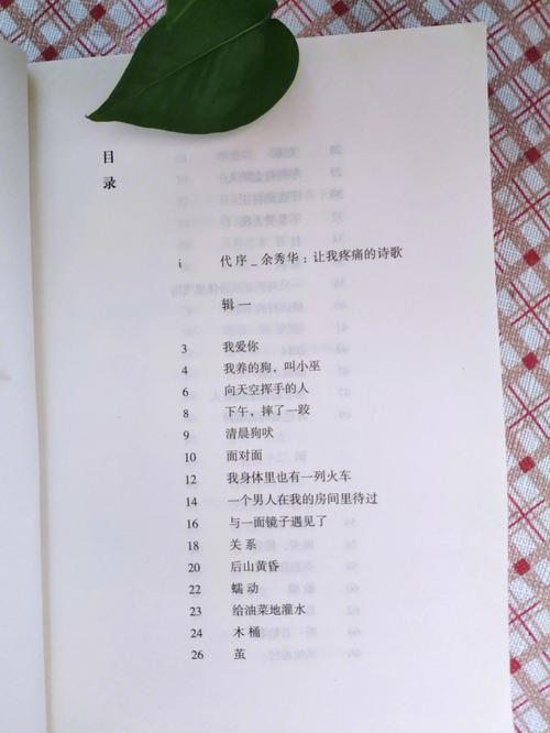 梦见写诗 读诗 朗诵诗歌怎么回事 梦见写诗 读诗 朗诵诗歌有什么预兆