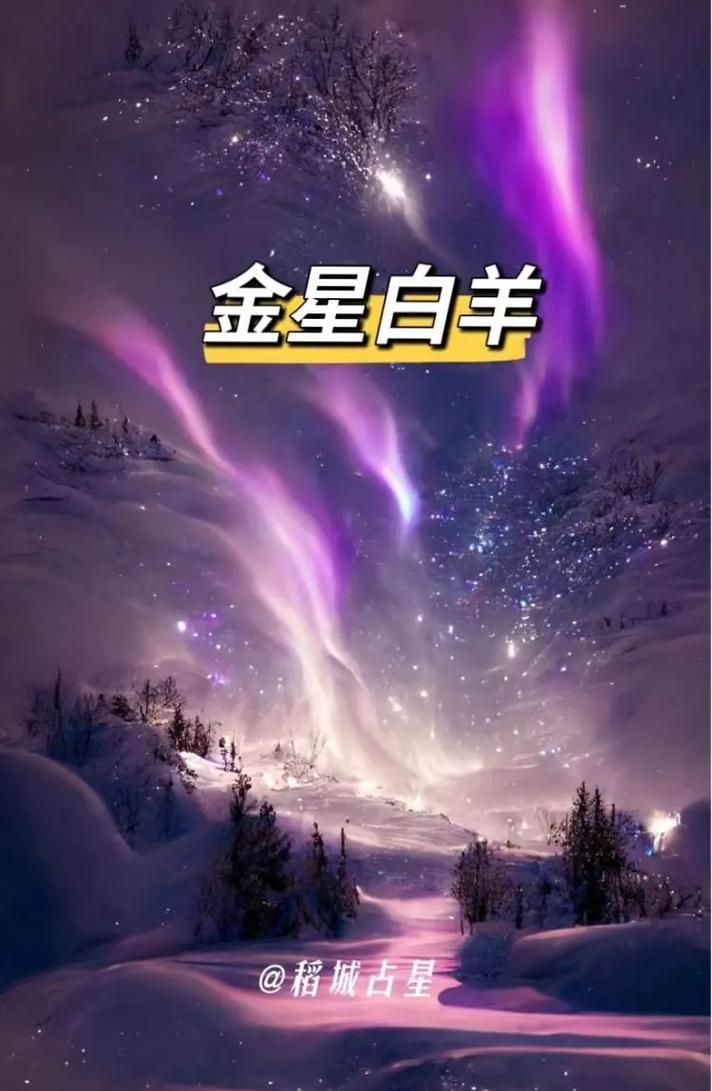 金星白羊座的爱情