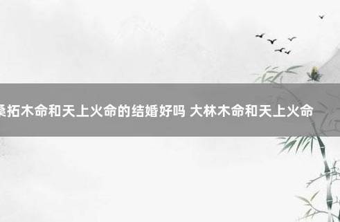 天上火命和天上火命的婚姻