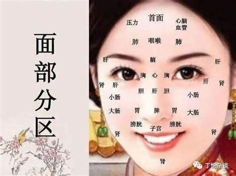 女性法令纹面相详解,法令纹介绍