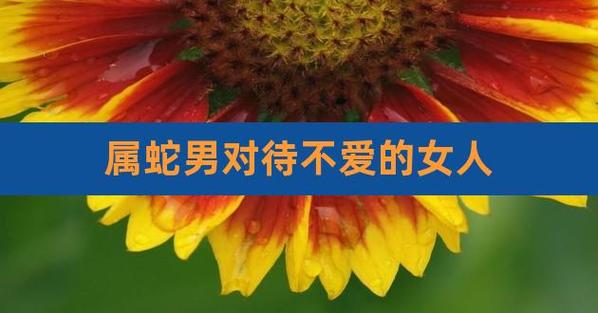 哪种女人降服属蛇男