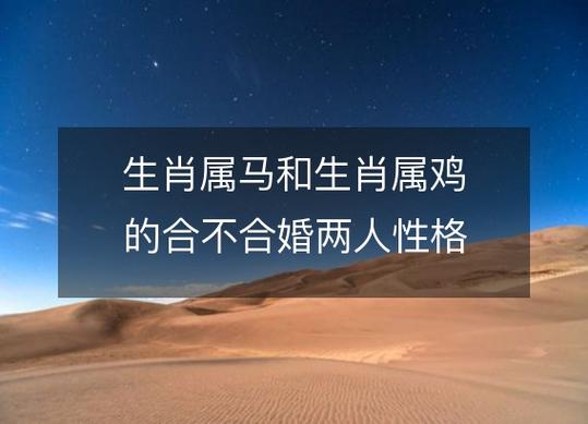 属马和属鸡的婚姻相配吗