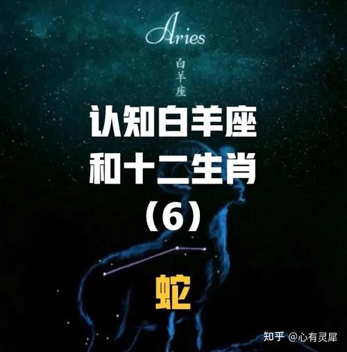 属龙白羊座和属蛇摩羯座姻缘指数解析