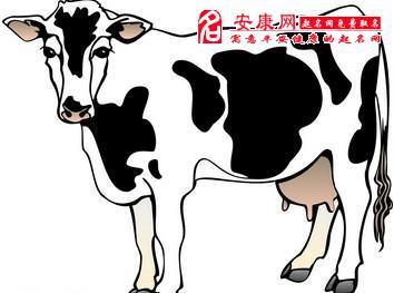 做梦梦见牛是什么意思