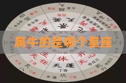 属牛的是第几星座