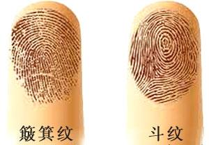 拥有十个簸箕的女人多吗
