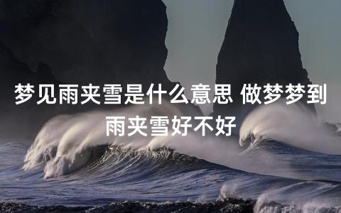 梦见雨加雪