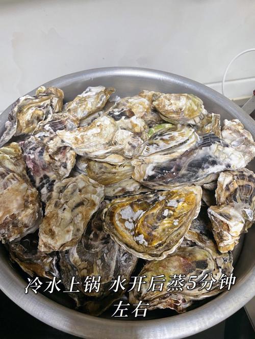 梦见很多牡蛎