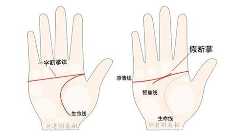 男人右手断掌是什么意思