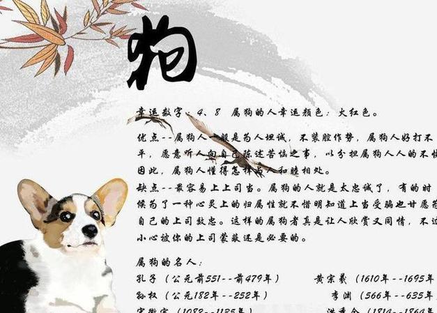 属狗人提升说话技巧要注意什么
