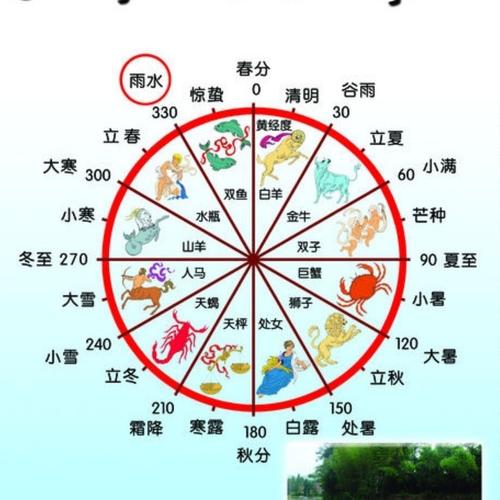 生肖按照阳历还是阴历
