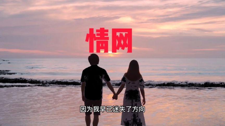 梦见情网