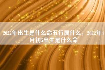 2022年出生什么命