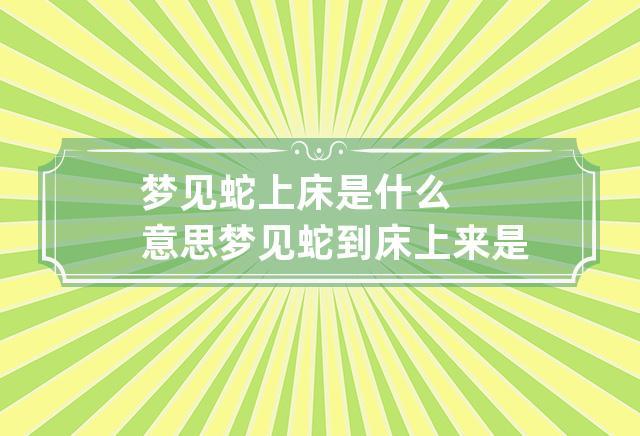 梦见蛇从床上爬到床下是什么意思