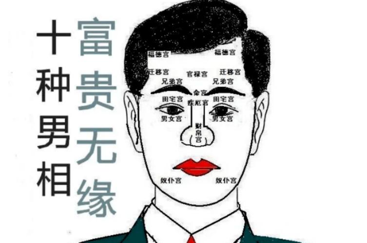面相看一个人财富格局的例子