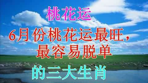这些生肖非常容易脱单,桃花运好