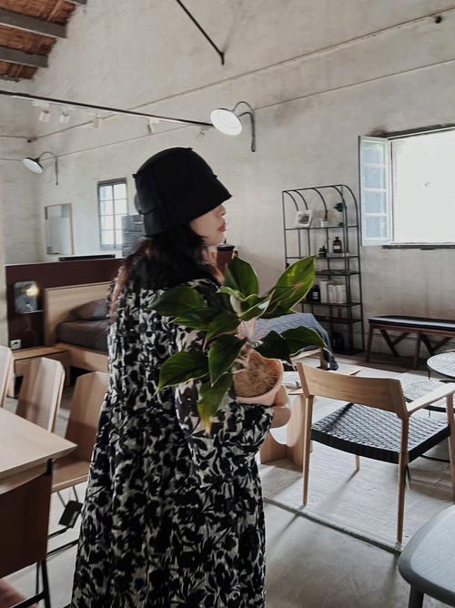 梦见万年青是什么意思