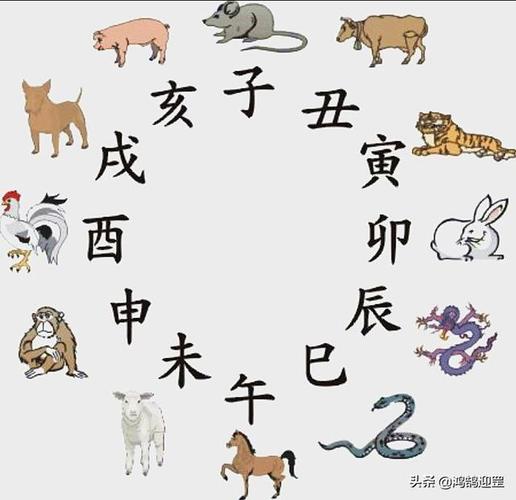 心浮气躁的生肖大全