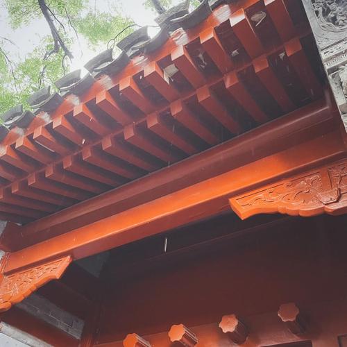 梦见三七怎么回事