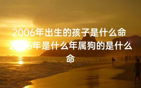 2006年属狗啥命