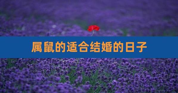 2021年属鼠和属鼠结婚最佳吉日