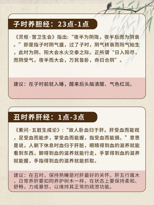 属兔上等命的出生时辰,未时、戌时、亥时