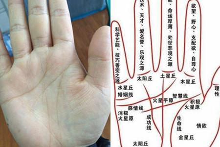如何从一个人的笔迹上看手相