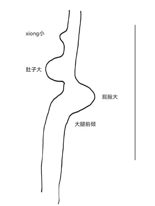 前凸后先翘打一生肖