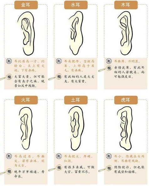 耳朵面相算命图解大全