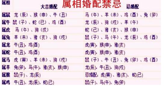 1997年10月出生的人最适合与什么属相婚配?