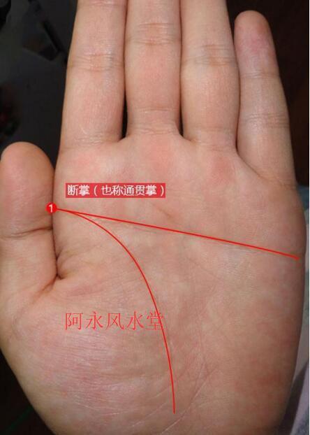 手相分析断掌的男人的性格脾气,一生事业财富运势如何?