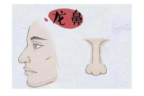 什么样的鼻子是富贵鼻