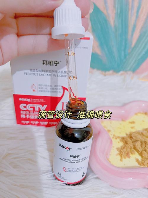 梦见猫拉血 做梦梦见猫血