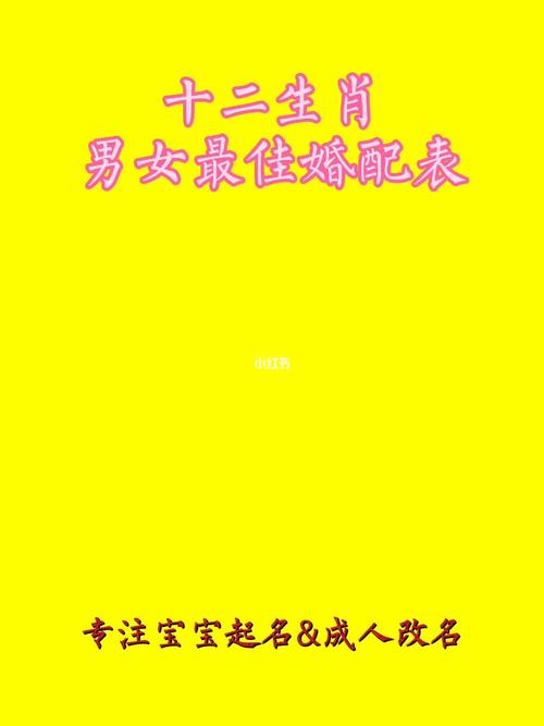 12月生肖异性缘排行