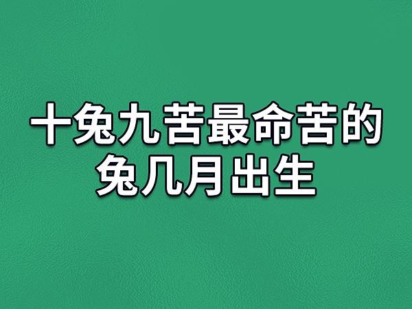属兔最命苦的出生月份