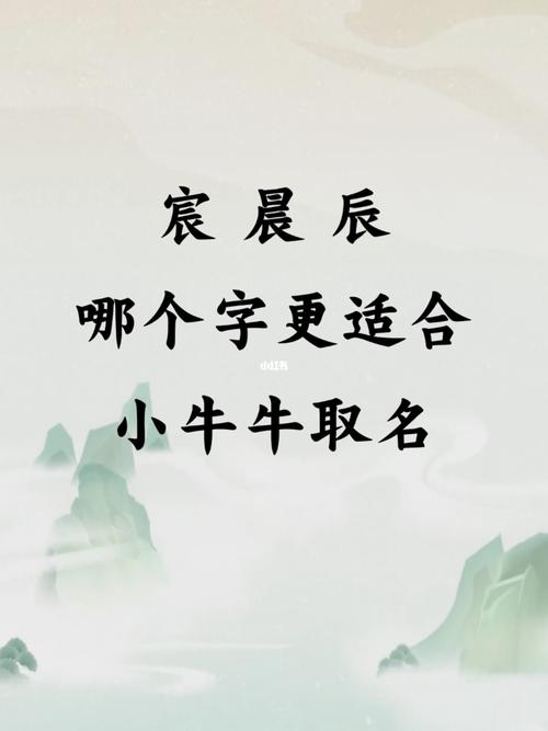 辰字开头二字公司取名