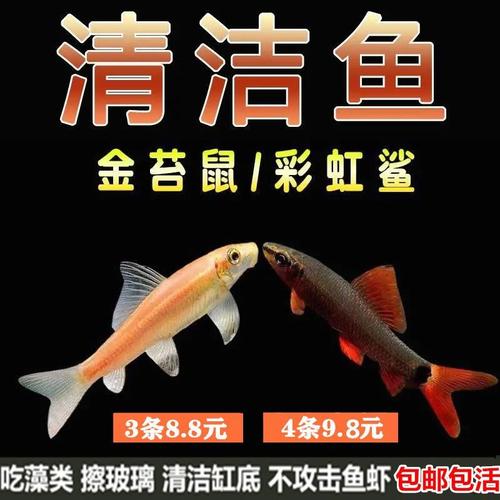 梦见清洁工、清道夫