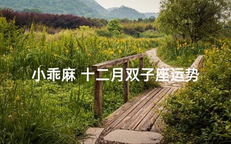 小乖麻 2021年双子座2月运程