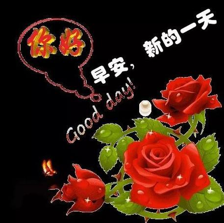 新年年初健康运良好