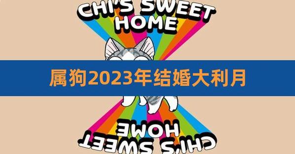 属狗结婚大利月