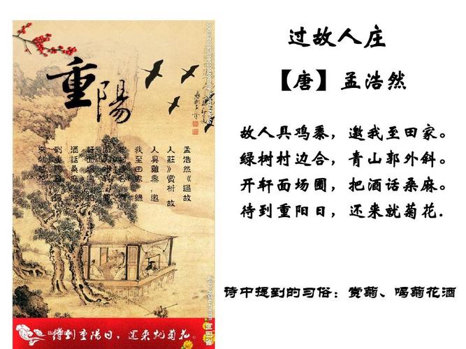 重阳节赏菊的故事传说