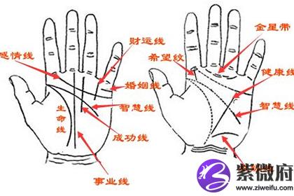 手相财富纹大全图解