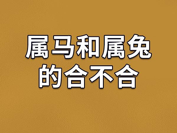 老公属马我属鼠适合在兔年2023年生孩子吗