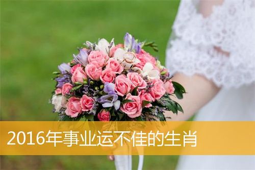 小心!三大生肖2016年事业运不佳