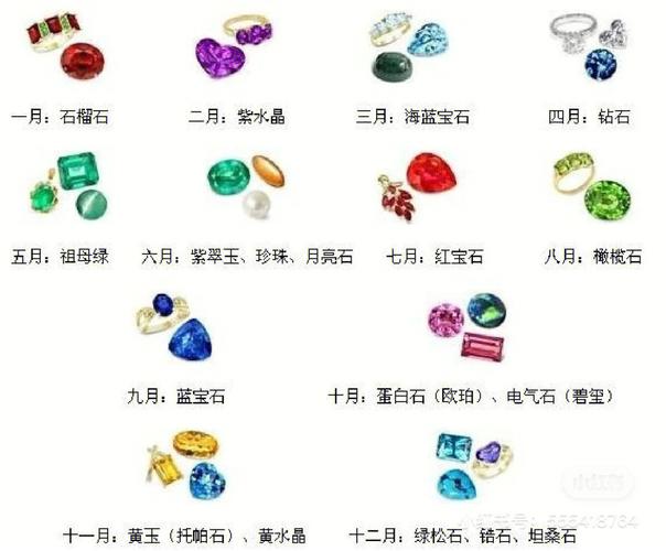 属猪的犯月是哪几个月
