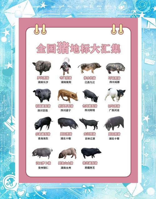 猪的六害生肖是谁