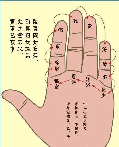 每周一课:《室内风水设计》五行杂说之“生肖、命卦、纳音、八字四柱”