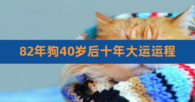 82年属狗人什么年纪走大运,37岁42岁45岁