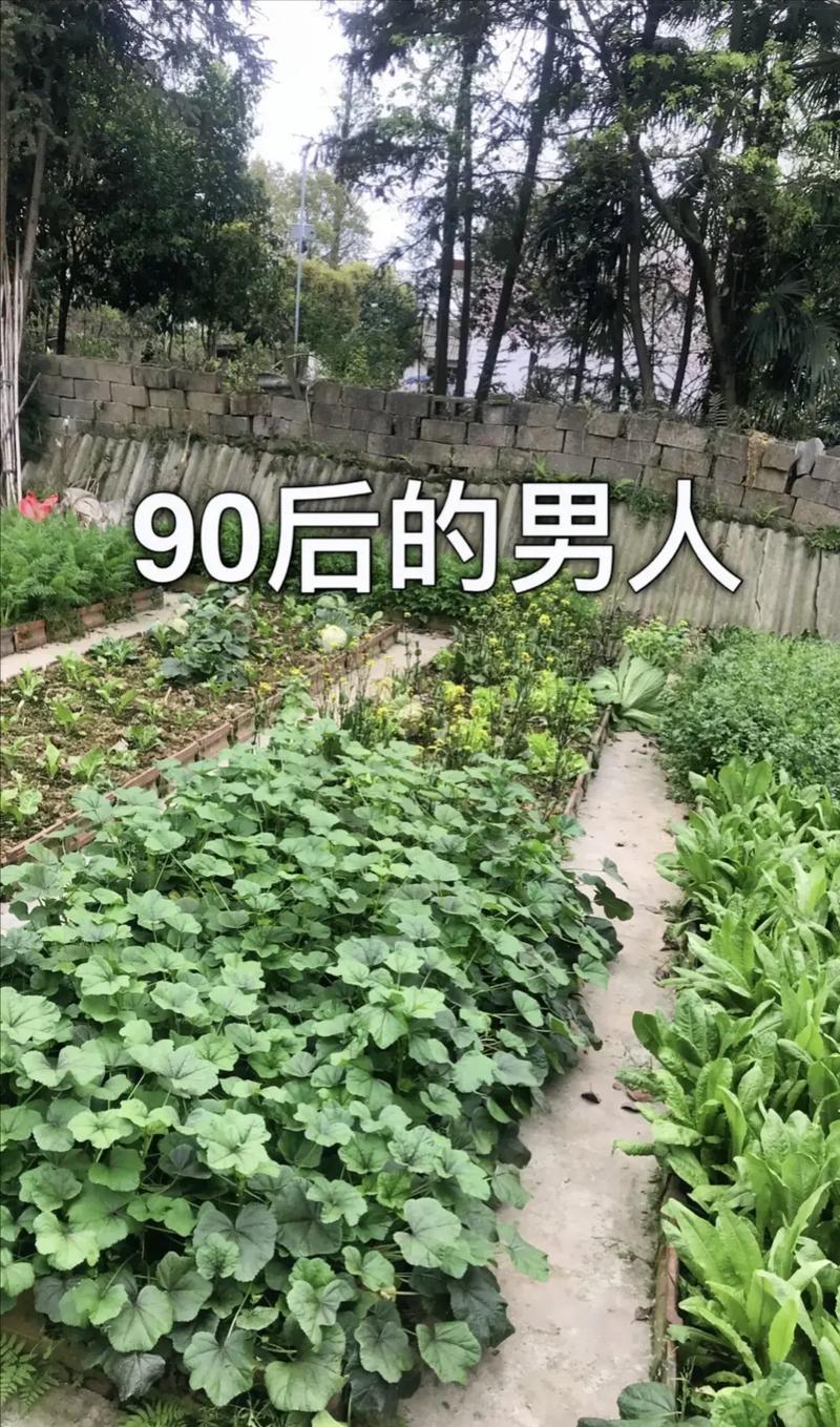 80男适合找哪年出生女人